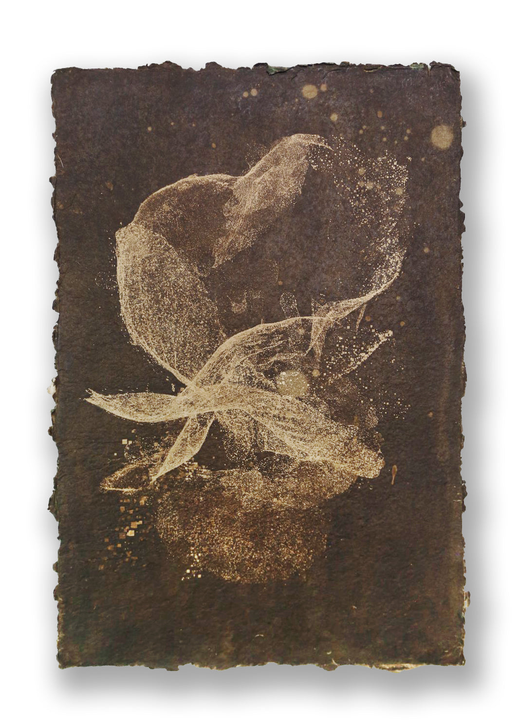 Biogram Toneprint: Orchis in Fold 1.3
