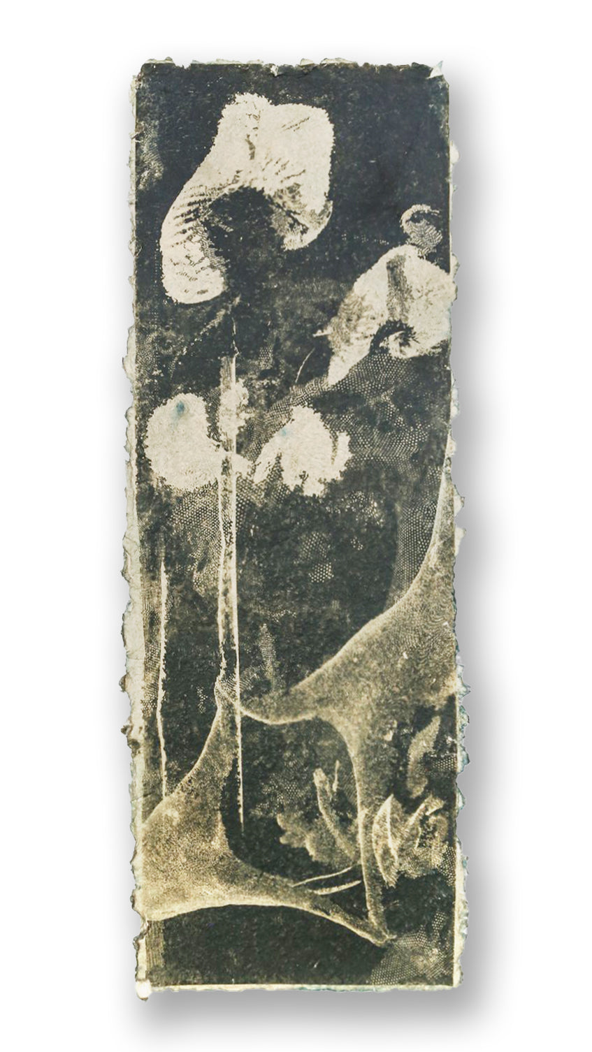 Biogram Toneprint: Orchis in Hand 2.1
