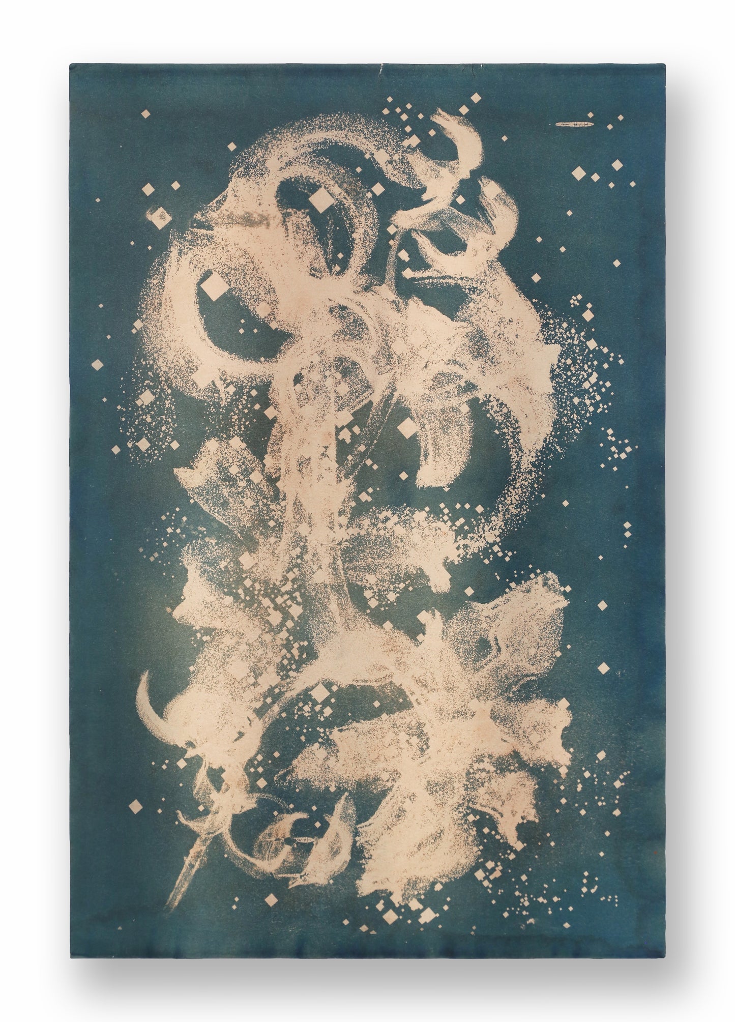 Biogram Toneprint: Lilium Lancfolium 1.3, unframed