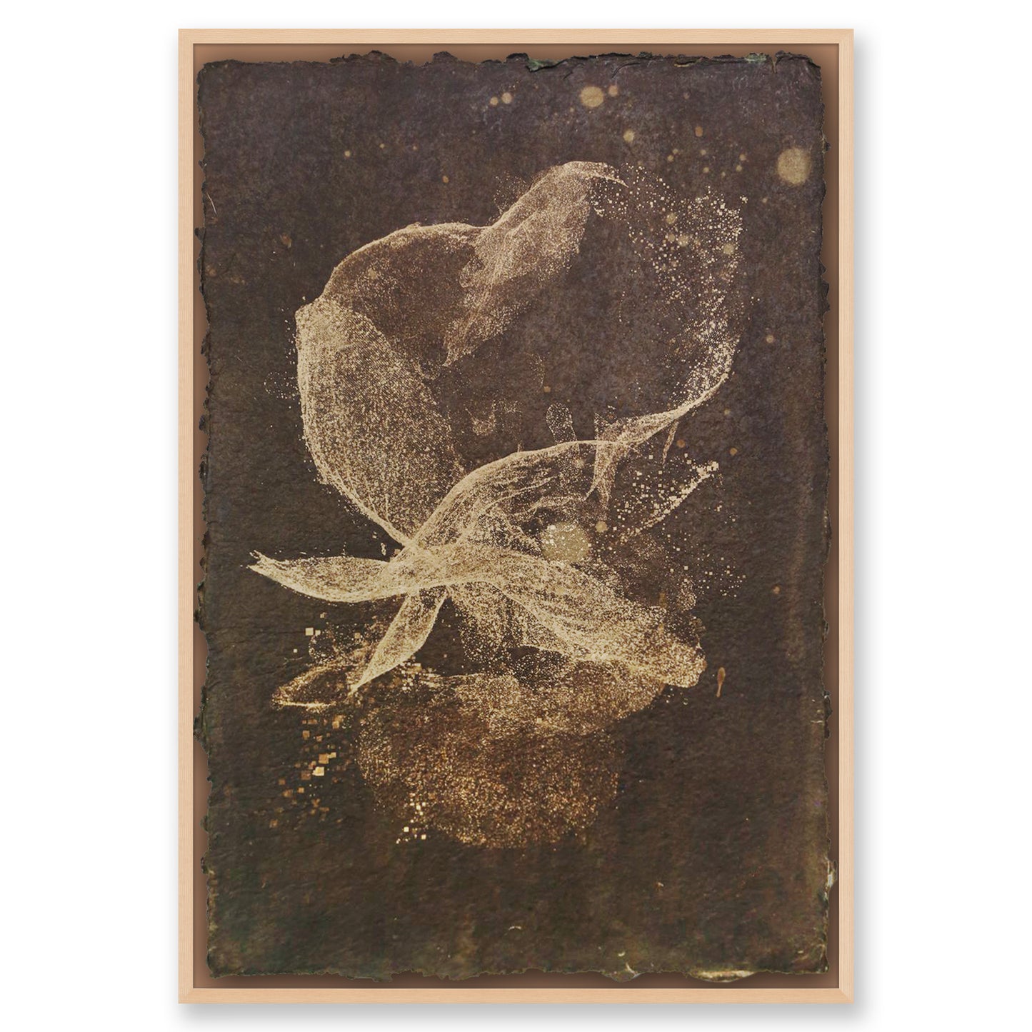 Biogram Toneprint: Orchis in Fold 1.3