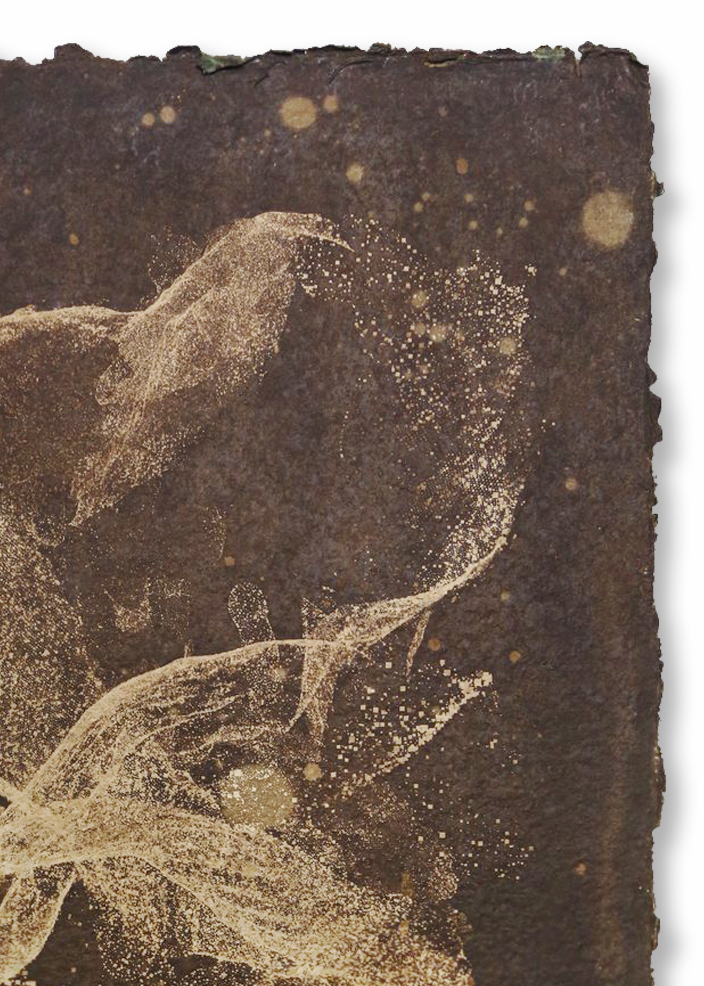 Biogram Toneprint: Orchis in Fold 1.3