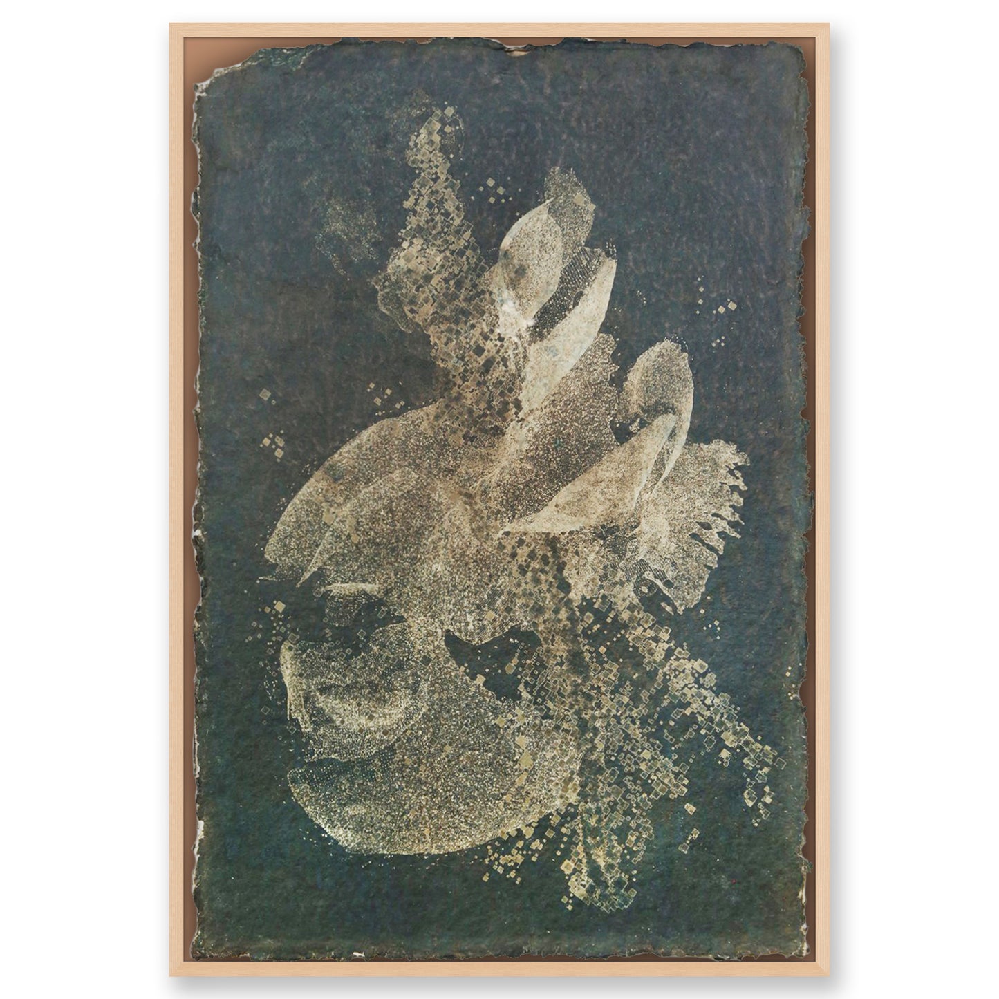 Biogram Toneprint: Orchis in Ovum 1.1, unframed