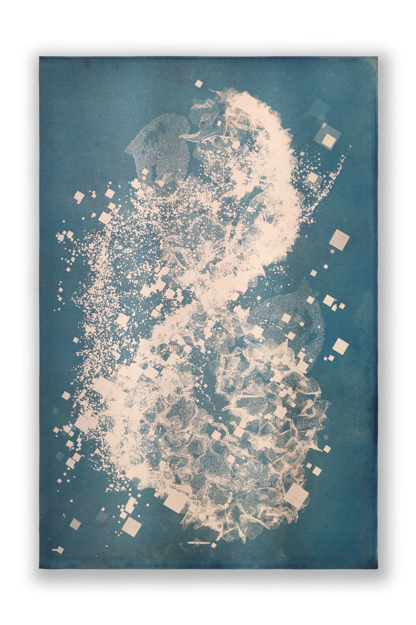 Biogram Toneprint: Hydrangea 1.4, unframed