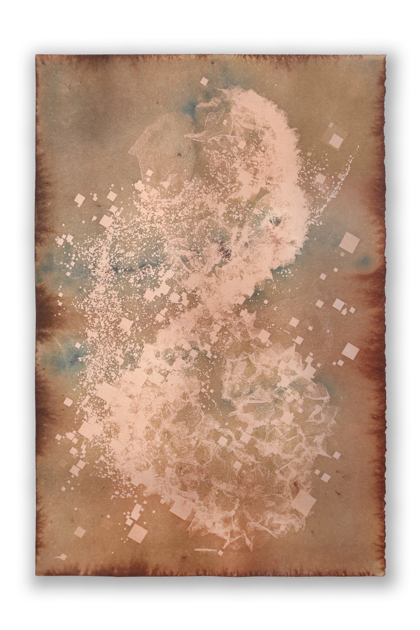 Biogram Toneprint: Hydrangea 1.7, unframed