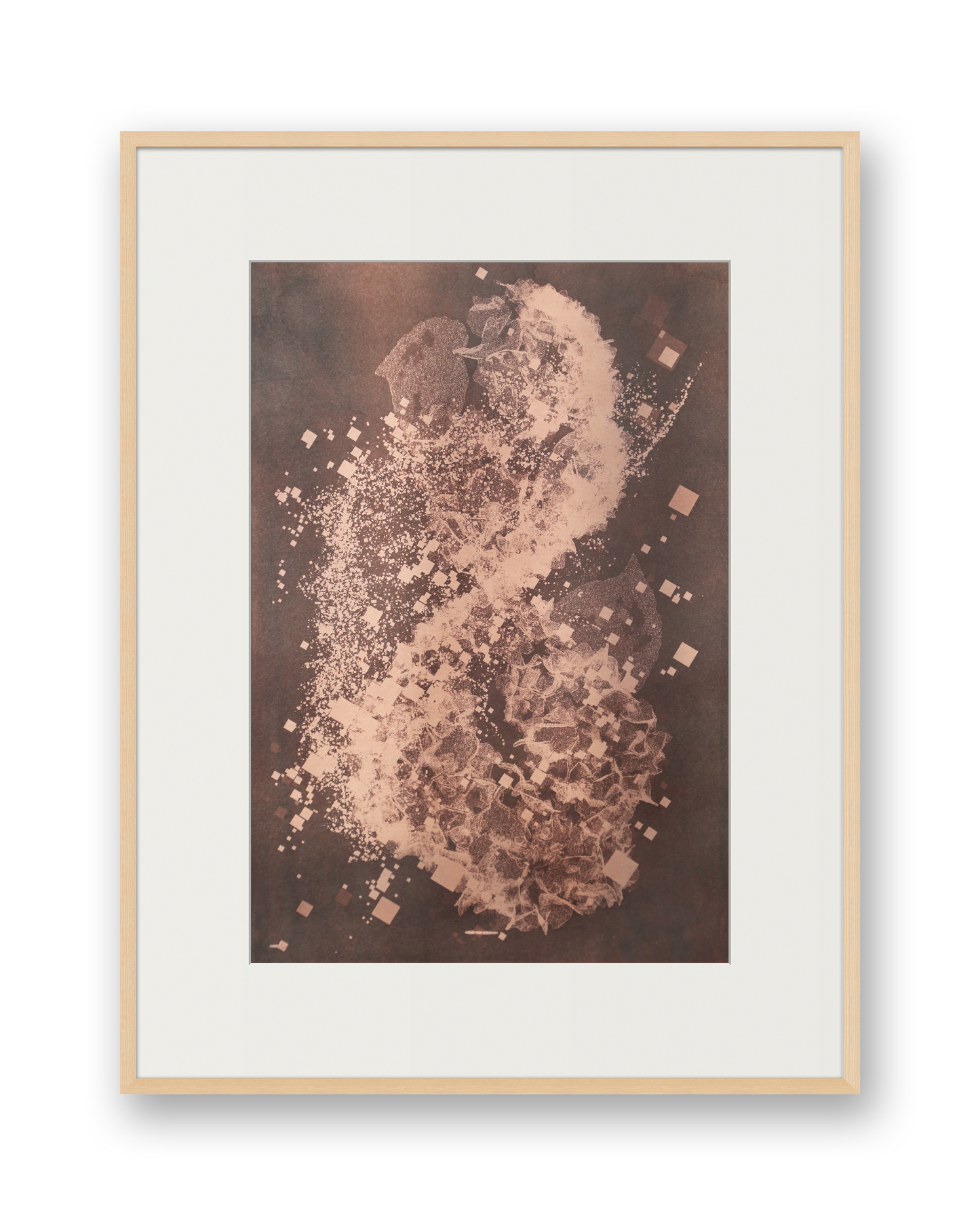 Biogram Toneprint: Hydrangea 1.6, unframed