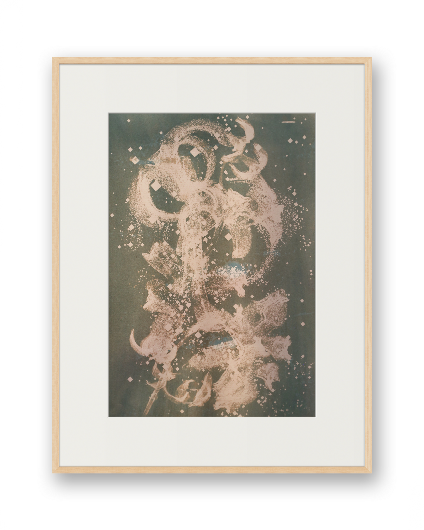 Biogram Toneprint: Lilium Lancfolium 1.2, unframed