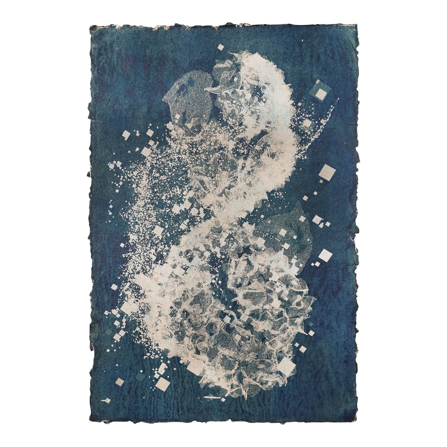 Biogram Toneprint: Hydrangea 1.11, unframed